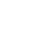 Safeguarding Code In Martial Arts logo