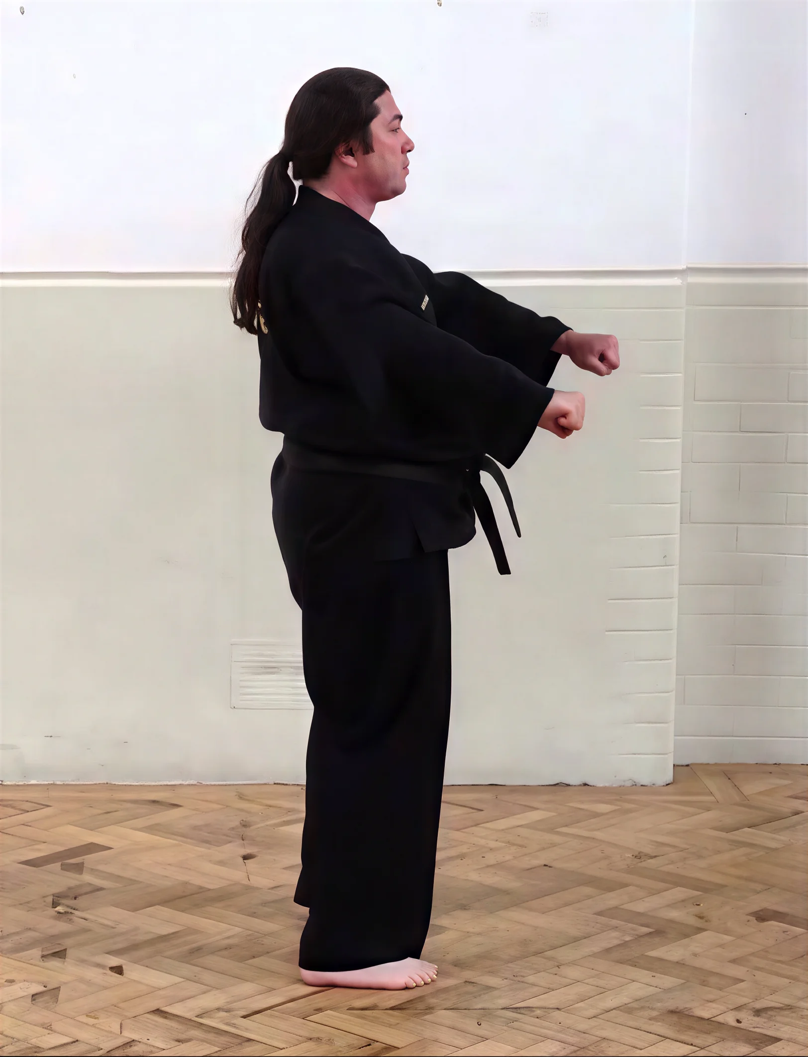 <em>Solo performances by Mr Martin of three step numbers 1 – 4 (for your 8th kup yellow belt grading) – first the attack then defence for each, so you can practice at home in the kitchen!</em><br><br>