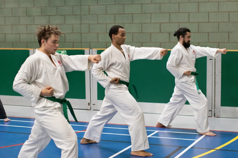 3_green_belts_do_patterns 3 green belt men practice patterns