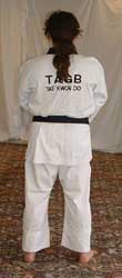DSCF0016 Chunbi position – parallel ready stance (for ease, the rest of
the pattern is shown rear view).