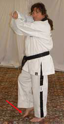 DSCF0024 Turn head to look left towards C, pull front (right) leg back, raise arms to chamber for left middle block