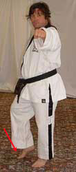 DSCF0026 Pull back (right) foot forwards, raise front (left) arm to reach forwards