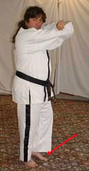 DSCF0039 Turn head to look right towards C, pull front (left) leg back, raise arms to chamber for middle block