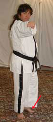 DSCF0041 Pull left leg forwards whilst raising front (right) hand to reach forwards