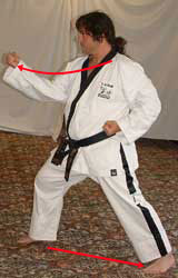 DSCF0044 14) Slide left leg diagonally out and turn 90° to the right hip-twisting into a right walking stance towards B whilst performing a right middle block