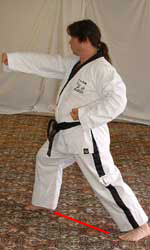 DSCF0217 3) Slide right leg diagonally forwards to form right walking stance, perform middle section punch towards B with right forefist