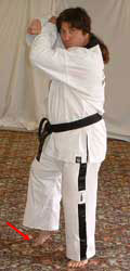 DSCF0218 Turn head to look left towards C, pull front leg back, raise arms to chamber for left low block