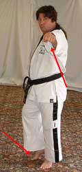 DSCF0221 Pull back (right) foot forwards, raise front (left) arm to reach forwards