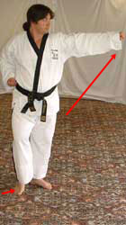 DSCF0226 Pull back (right) leg forwards, raise front hand and reach forwards
