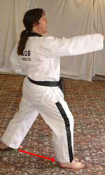 DSCF0227 7) Move right foot out to form right walking stance while performing obverse (front hand) middle section punch towards A – shout (kihap)