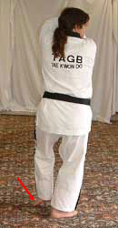 DSCF0231 Turn head to look right towards A, pull front (left) leg back, raise arms facing outwards to chamber for low block – right arm on the inside, facing inwards