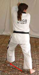 DSCF0232 Move left leg out to prepare for walking stance