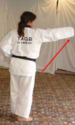 DSCF0234 Pull left leg forwards, raise front hand and reach forwards