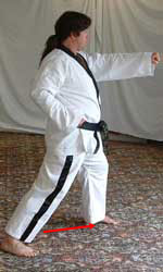 DSCF0235 11) Move left foot diagonally forwards to form a left walking stance performing a middle section obverse punch (reaction hand to the belt) towards A.