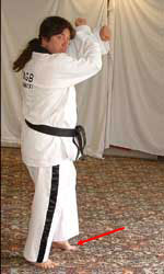 DSCF0236 Turn head to look right towards C, pull front leg back, raise arms to chamber for low block