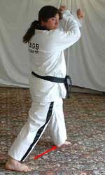 DSCF0237 Move left leg out to prepare for walking stance