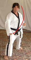 DSCF0238 12) Turn 90° to the right hip-twisting into a right walking stance towards C whilst performing a right low block