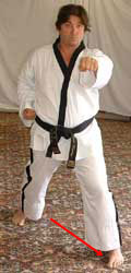 DSCF0240 13) Move left foot forwards to form a left walking stance performing a middle section obverse punch (reaction hand to the belt) towards C.