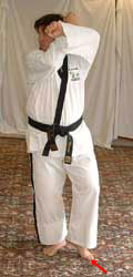 DSCF0241 Turn head to look right towards B, pull front (left) leg back, raise arms to chamber for low block
