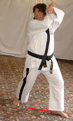DSCF0242 Move left leg out to prepare for walking stance