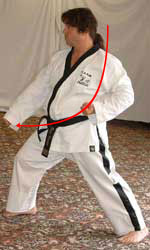 DSCF0243 14) Turn 90° to the right hip-twisting into a right walking stance towards B whilst performing a right low block