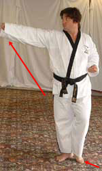 DSCF0244 Pull left leg forwards, raise front hand and reach forwards