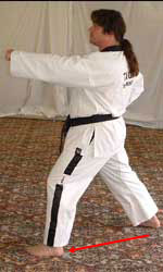 DSCF0245 15) Move left foot forwards to form a left walking stance performing a middle section obverse punch towards B – shout (kihap). Stay still until instructed…