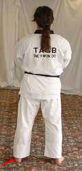 DSCF0246 When instructed (barro) pull left leg back and turn 90° right towards D to return to chunbi (parallel ready stance – narani chunbi soggi)