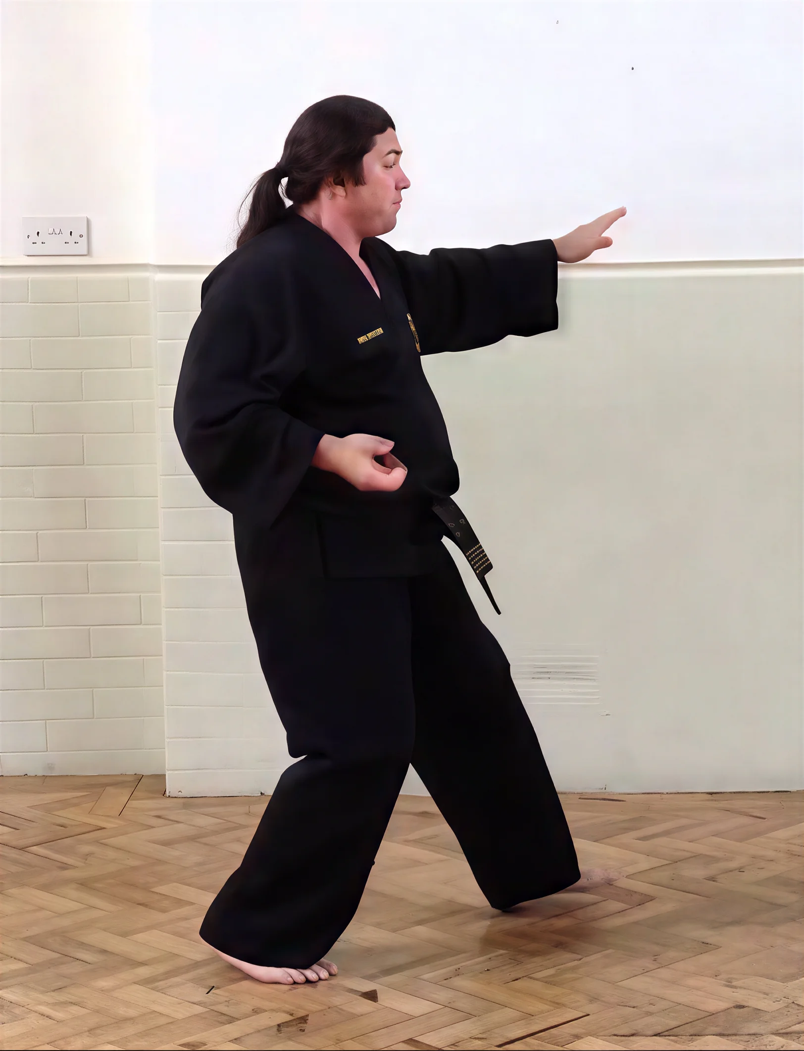 <em>Solo performances by Mr Martin of three step numbers 5 – 7 (for your 7th kup green tag grading) – first the attack then defence for each.</em>.