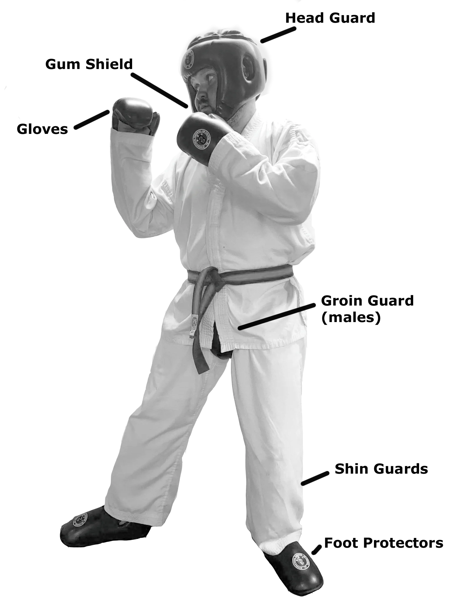 sparring-kit-full-pic