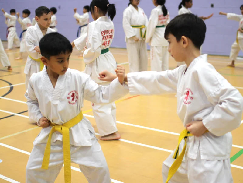 IMG_9396 2 young boys pratice