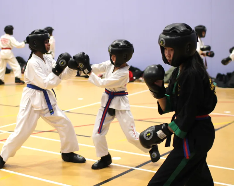 IMG_9663 Sparring with protective gear