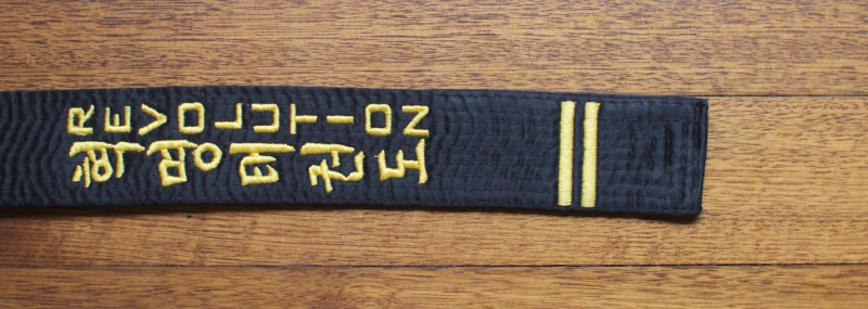 coloured_belt_black Revolution Black belt
